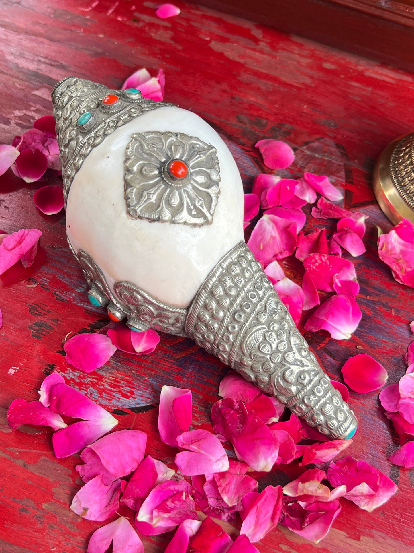 Divine Shankh