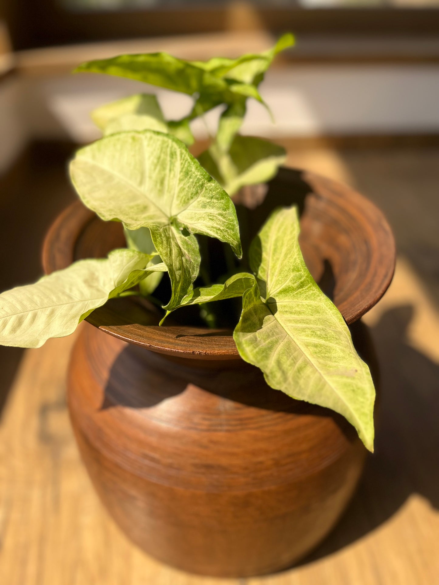 Wooden Old Flower planter