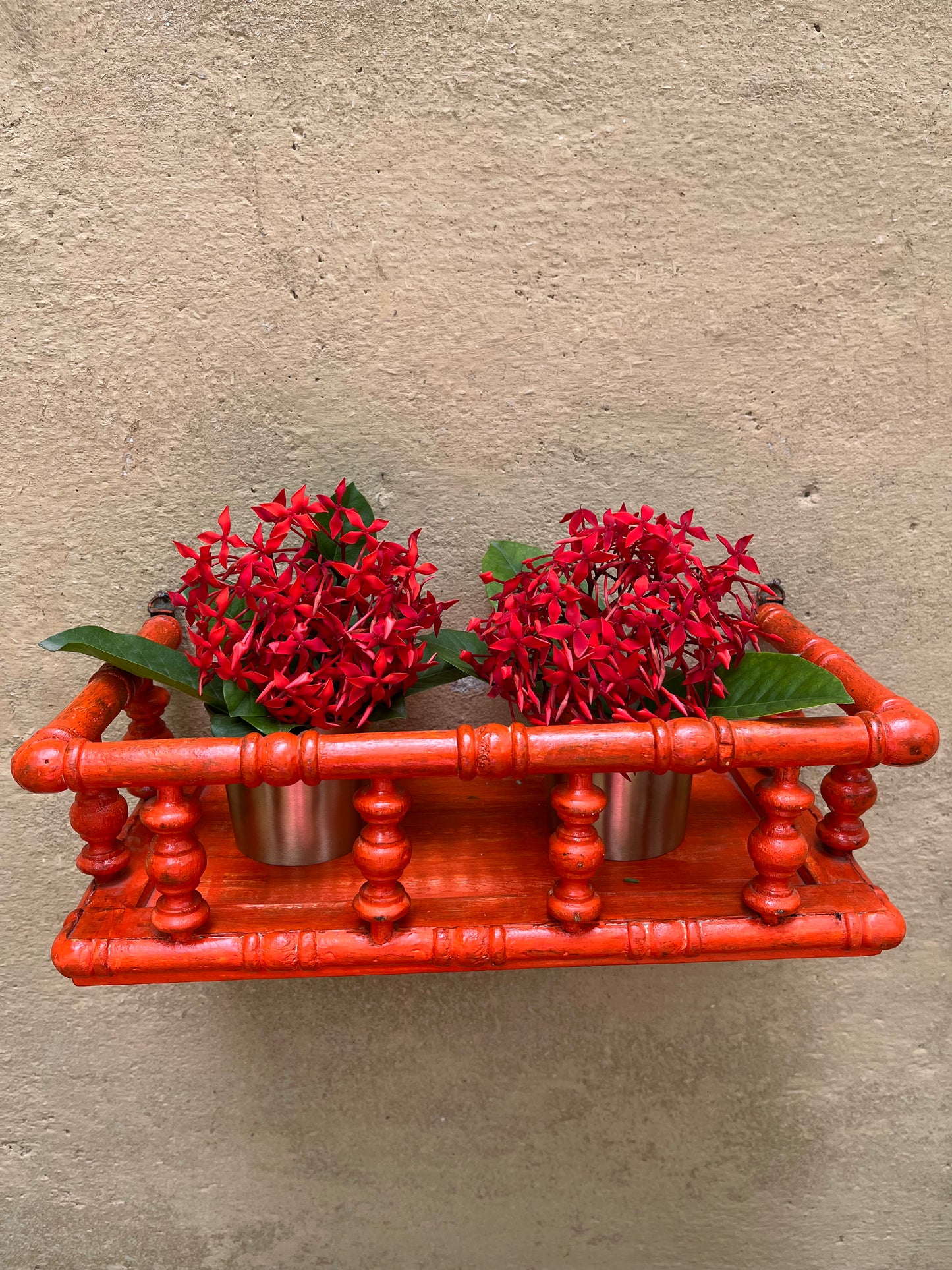 Wall Hand Painted Shelf