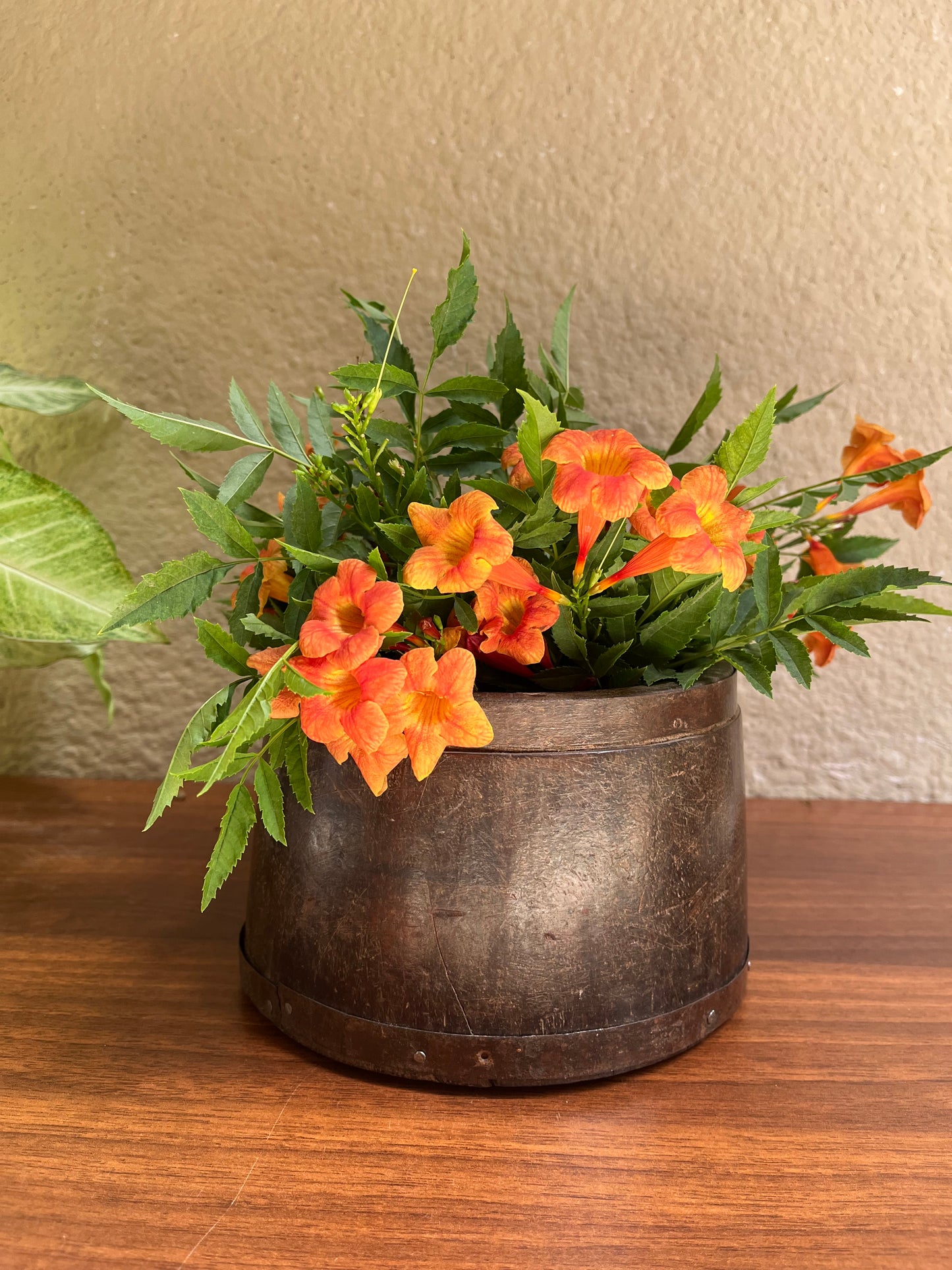 Vintage wood Rice Measure Flower Pot