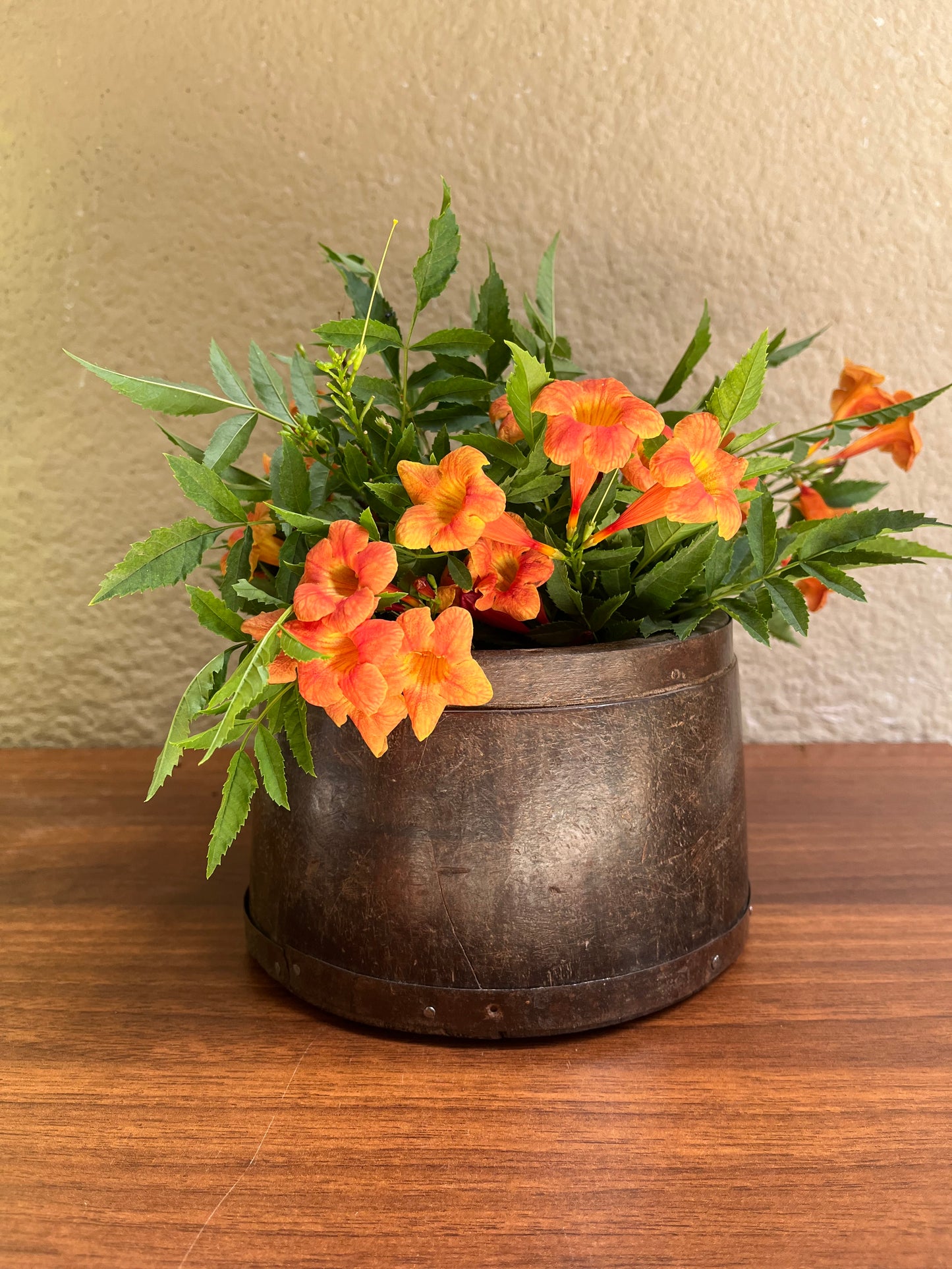 Vintage wood Rice Measure Flower Pot