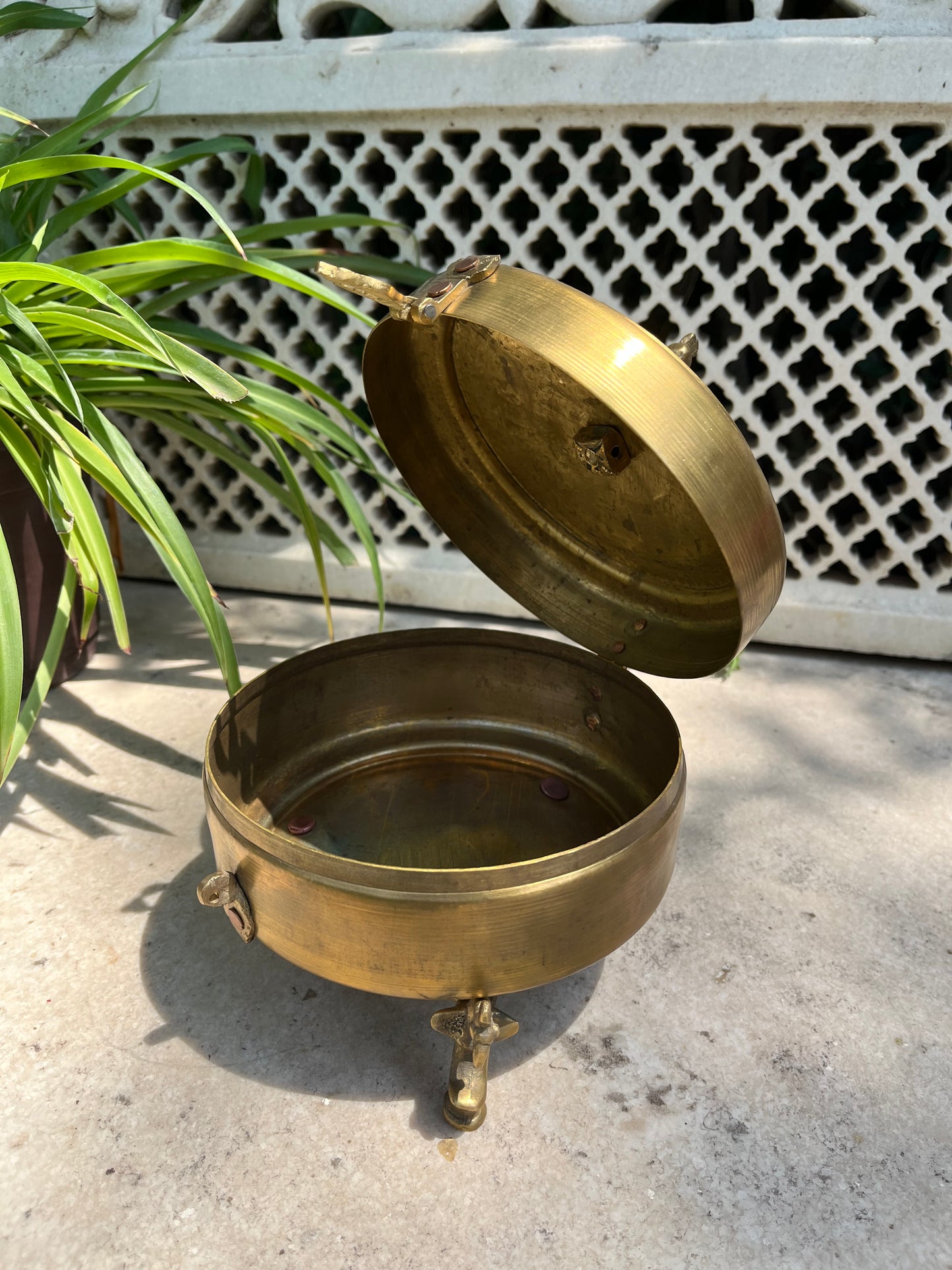 Brass Box Peacock Leg
