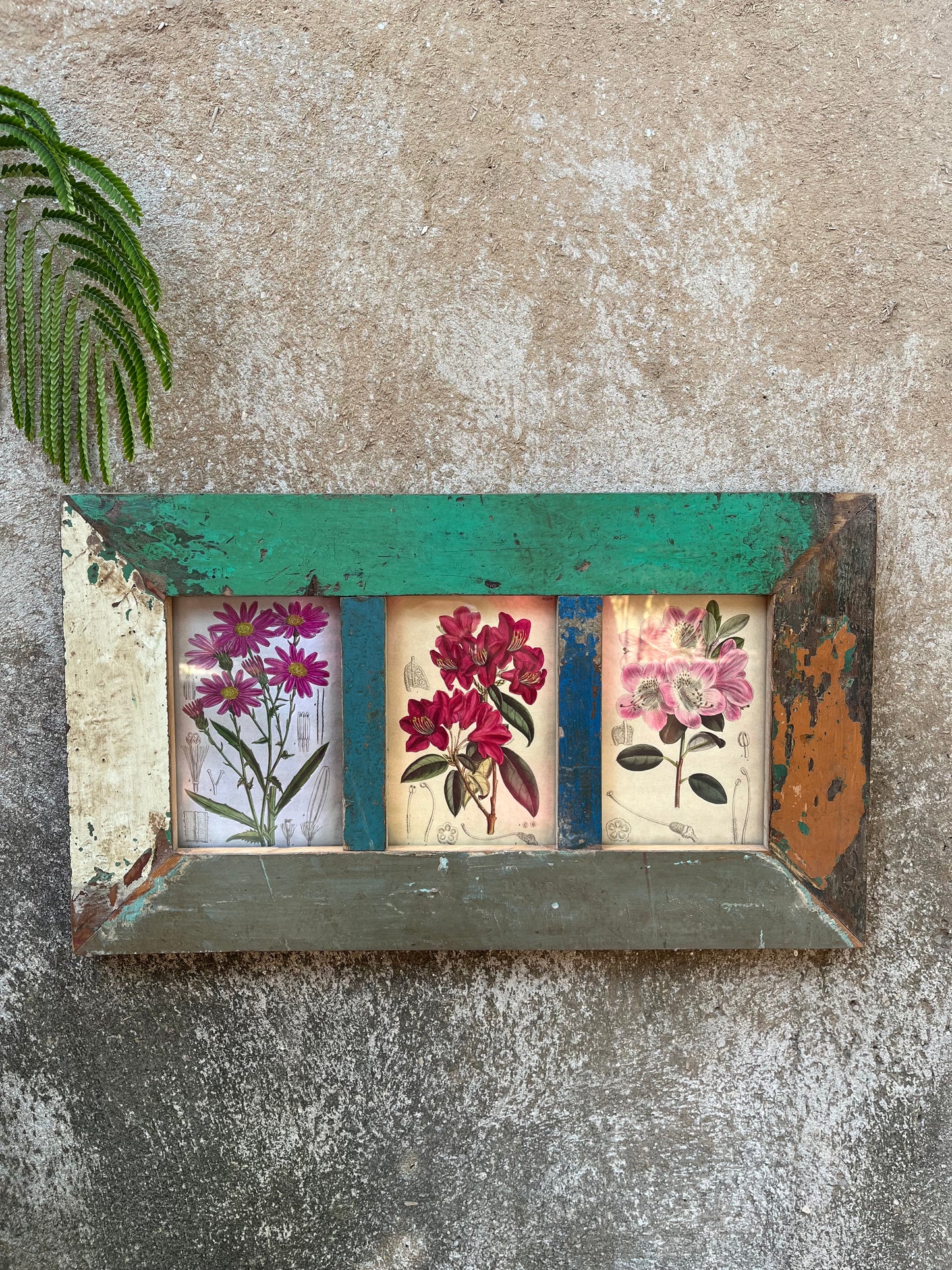 Wall Rustic Photo Frame in Wood