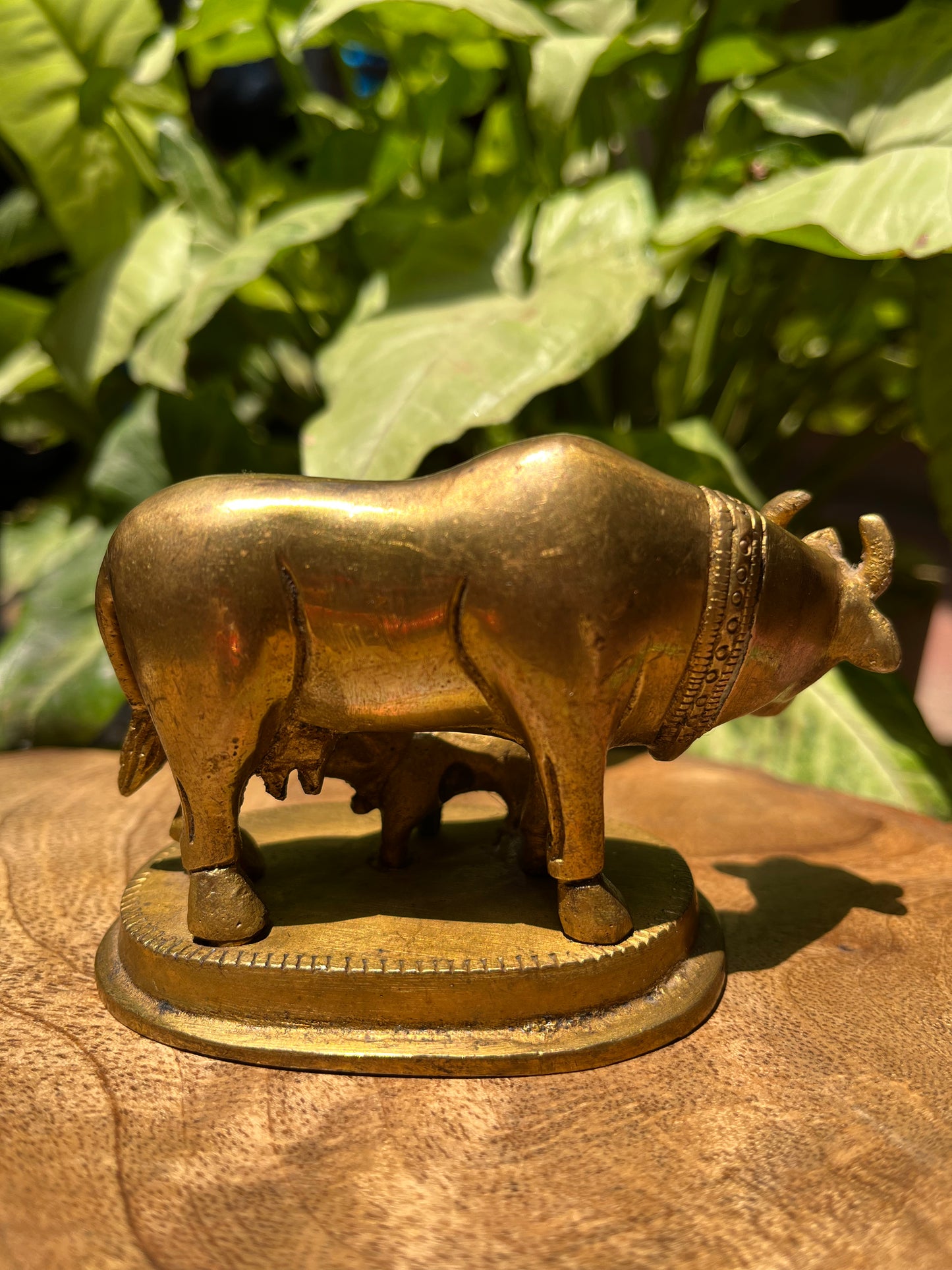 Brass Sitting Divine Cow With Calf
