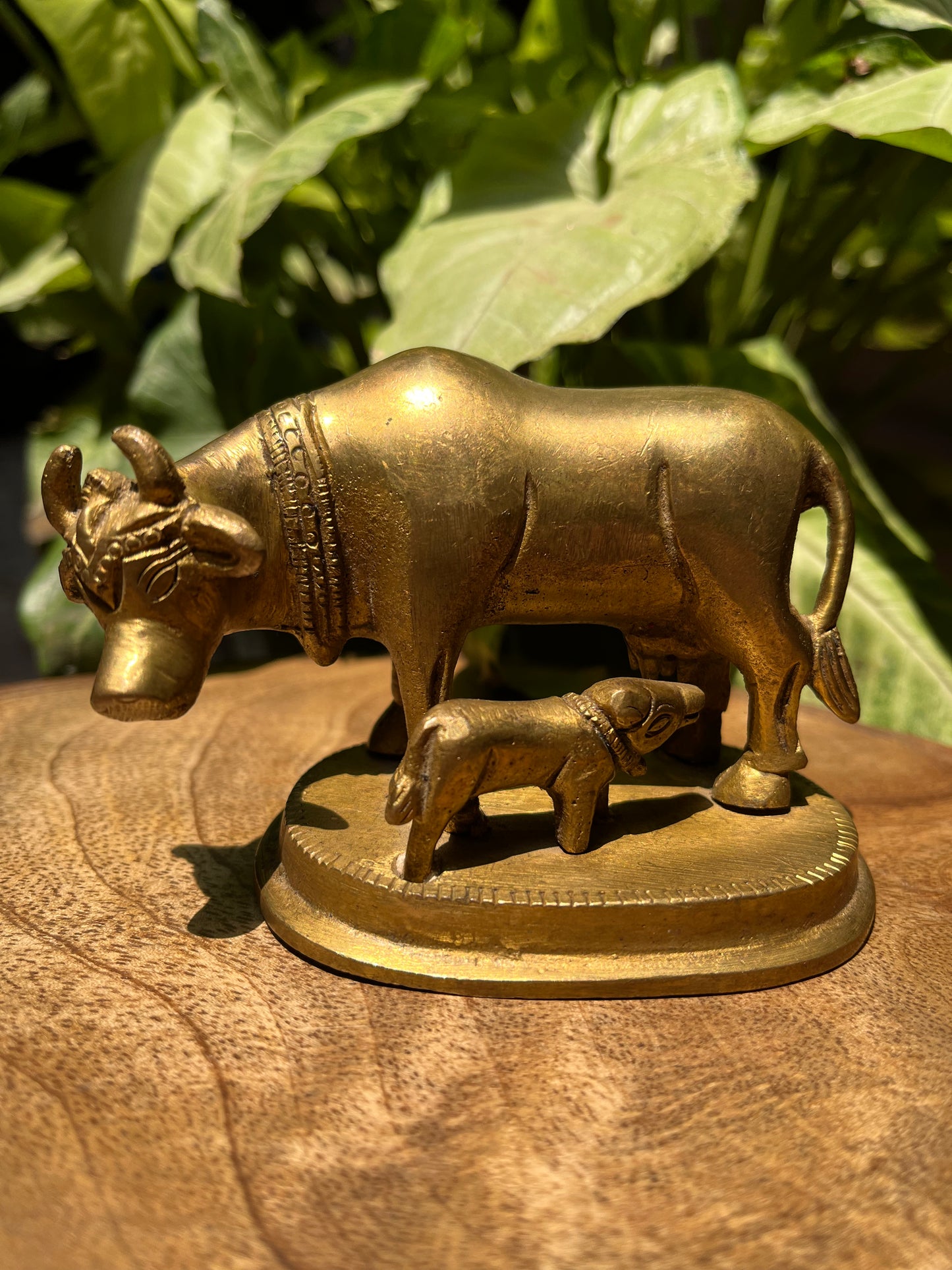 Brass Sitting Cow With Calf