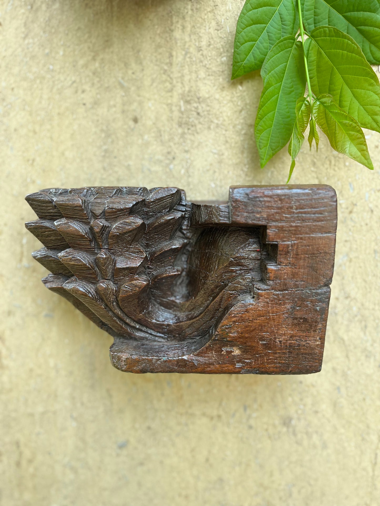 Wood Carved Wall Bracket