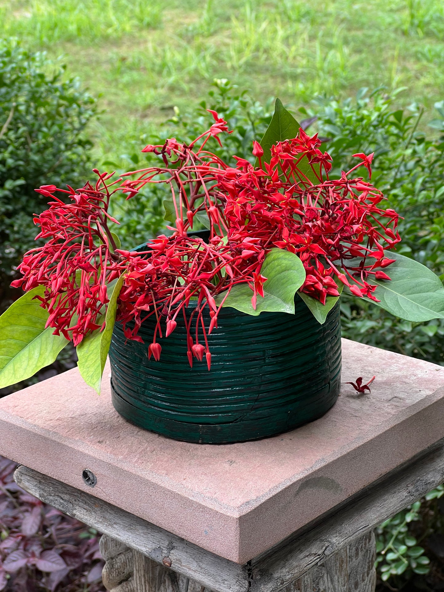 Vintage Wooden Green Pot & Planter