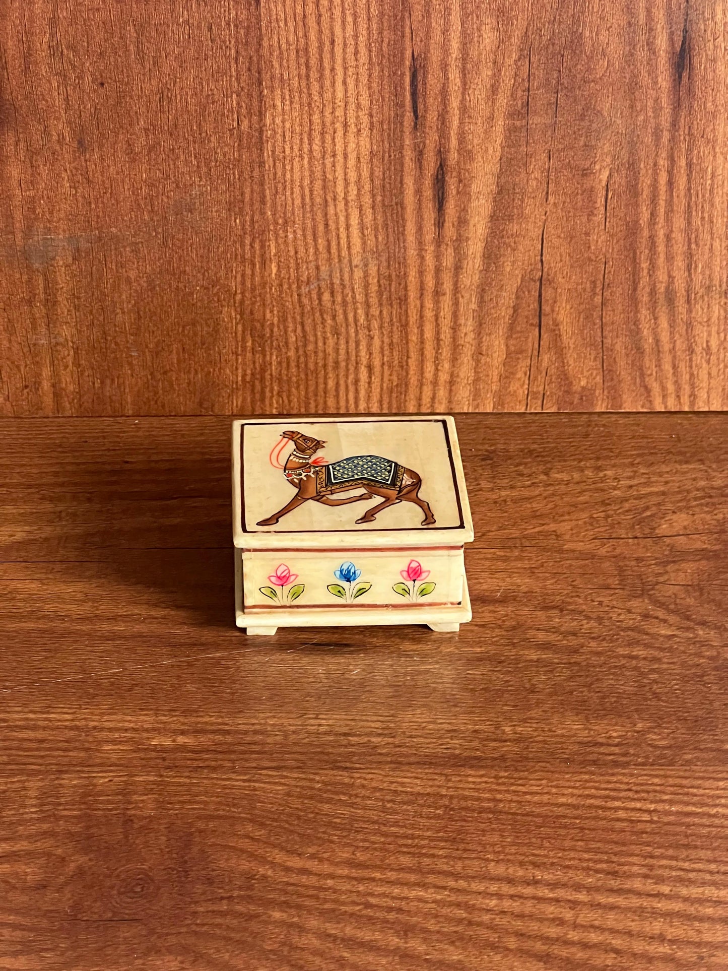 Hand Painted Camel Bone Box ￼