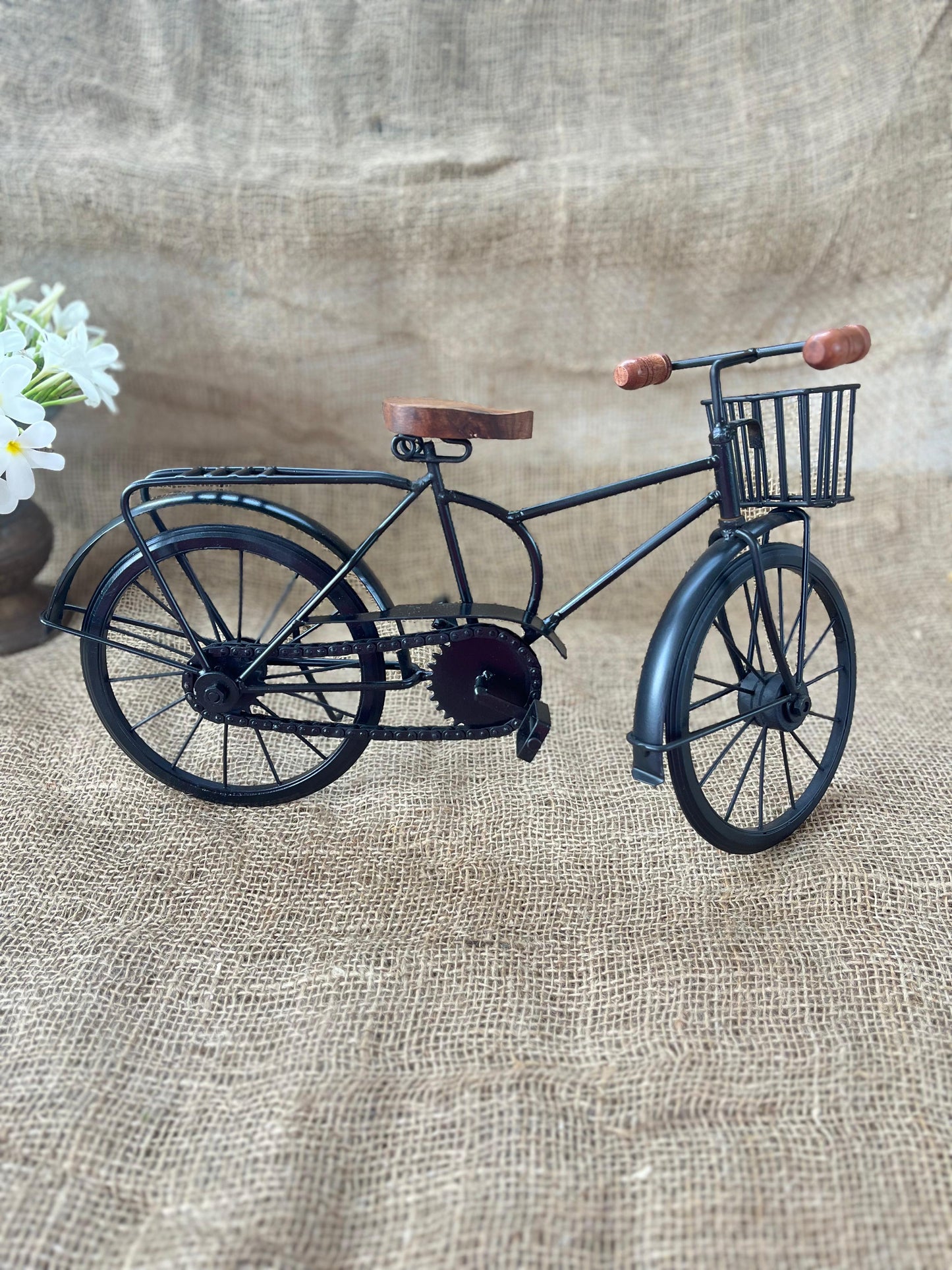 Iron Bicycle ￼
