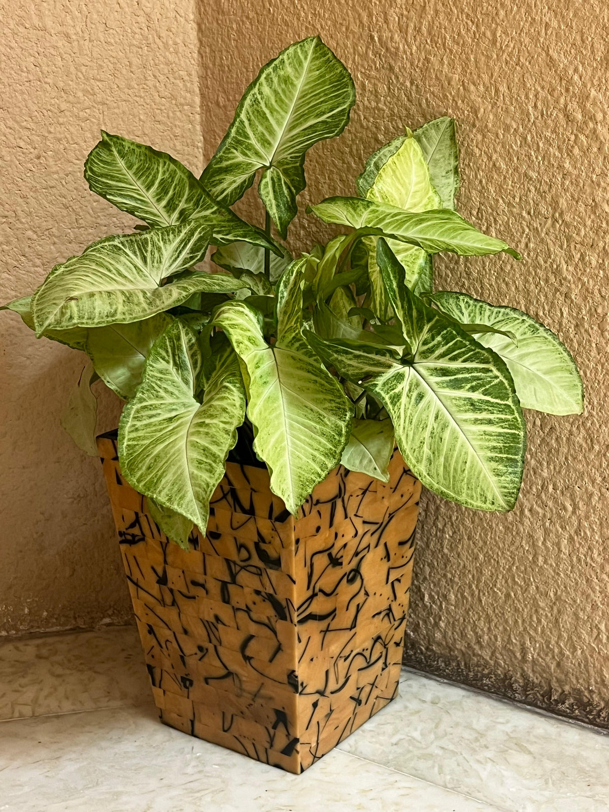 Bone Flower Planter ￼