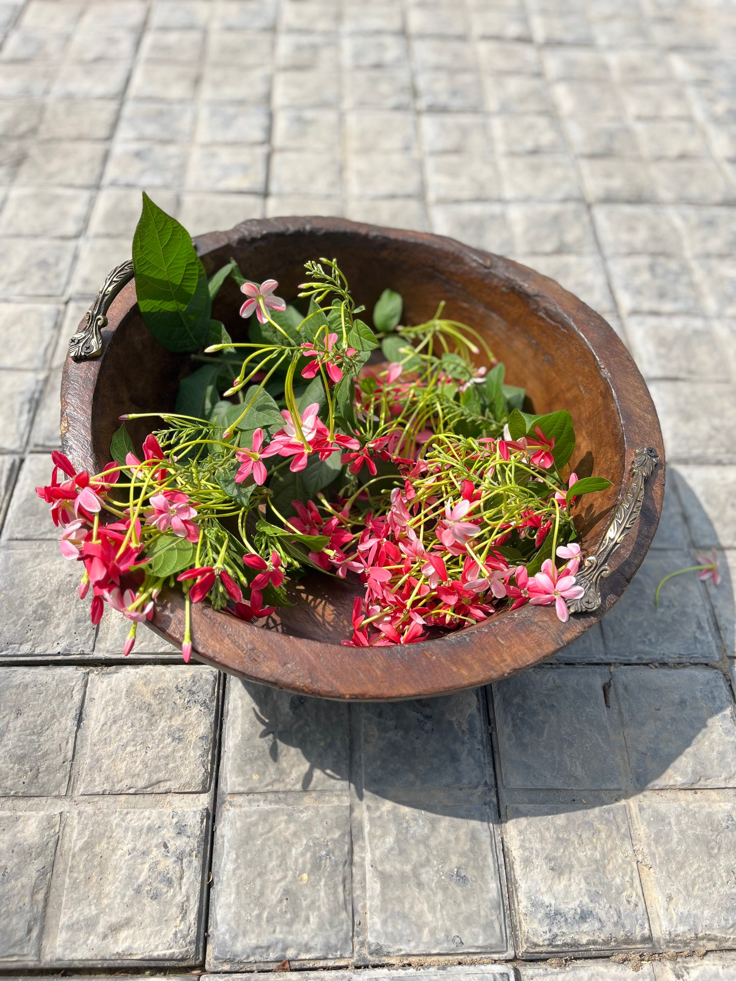 Old Round Wooden Tray & Planter