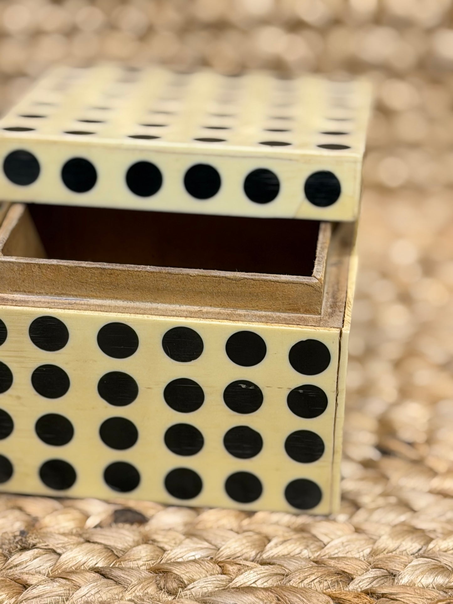 Polkadot Bone SquareBox￼