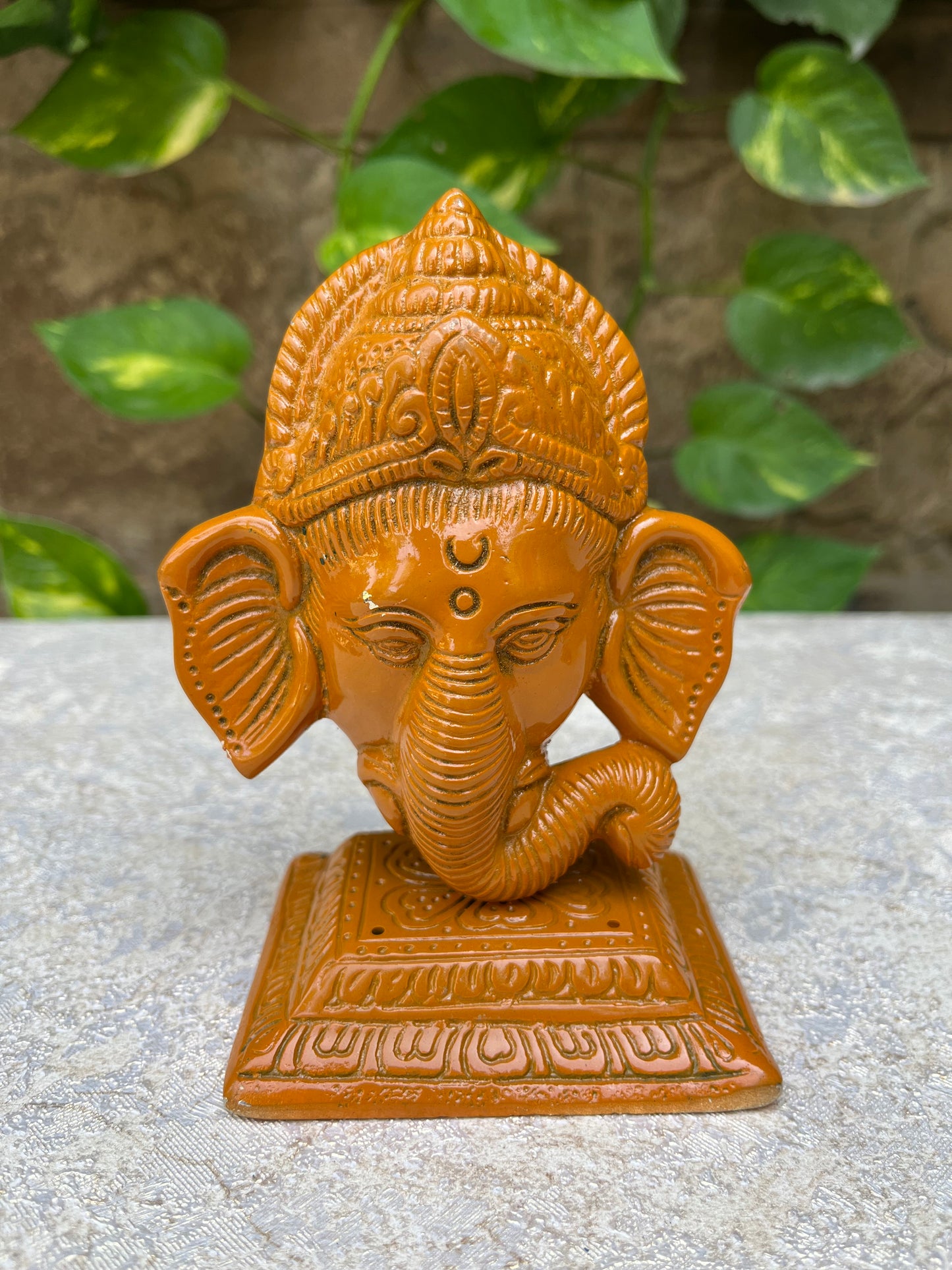 Divine Colour Ganesha