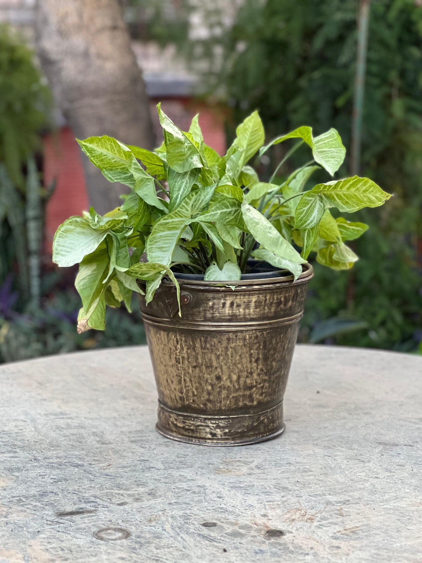 Vintage Brass Planter