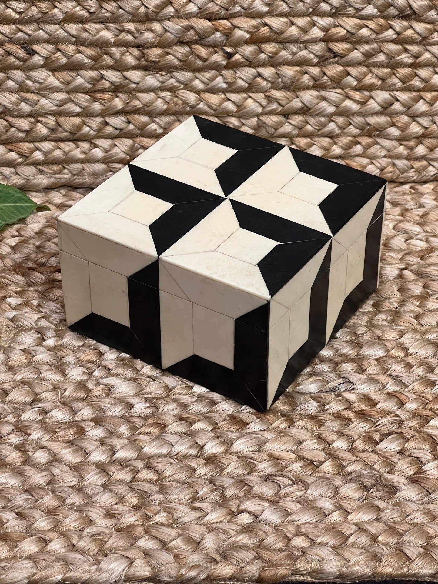 Square Bone Box ￼