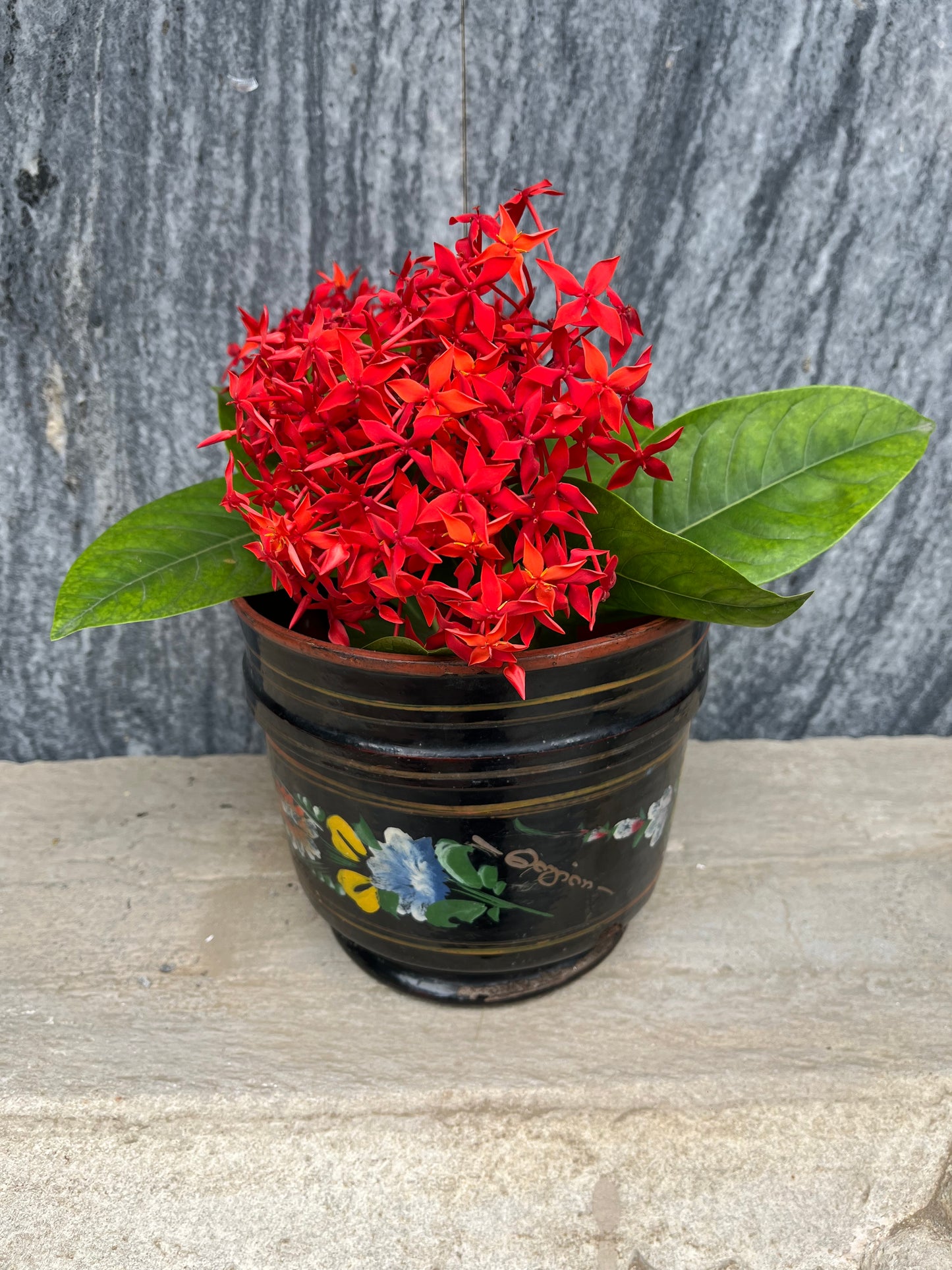 Vintage Lacquer Flower Pot