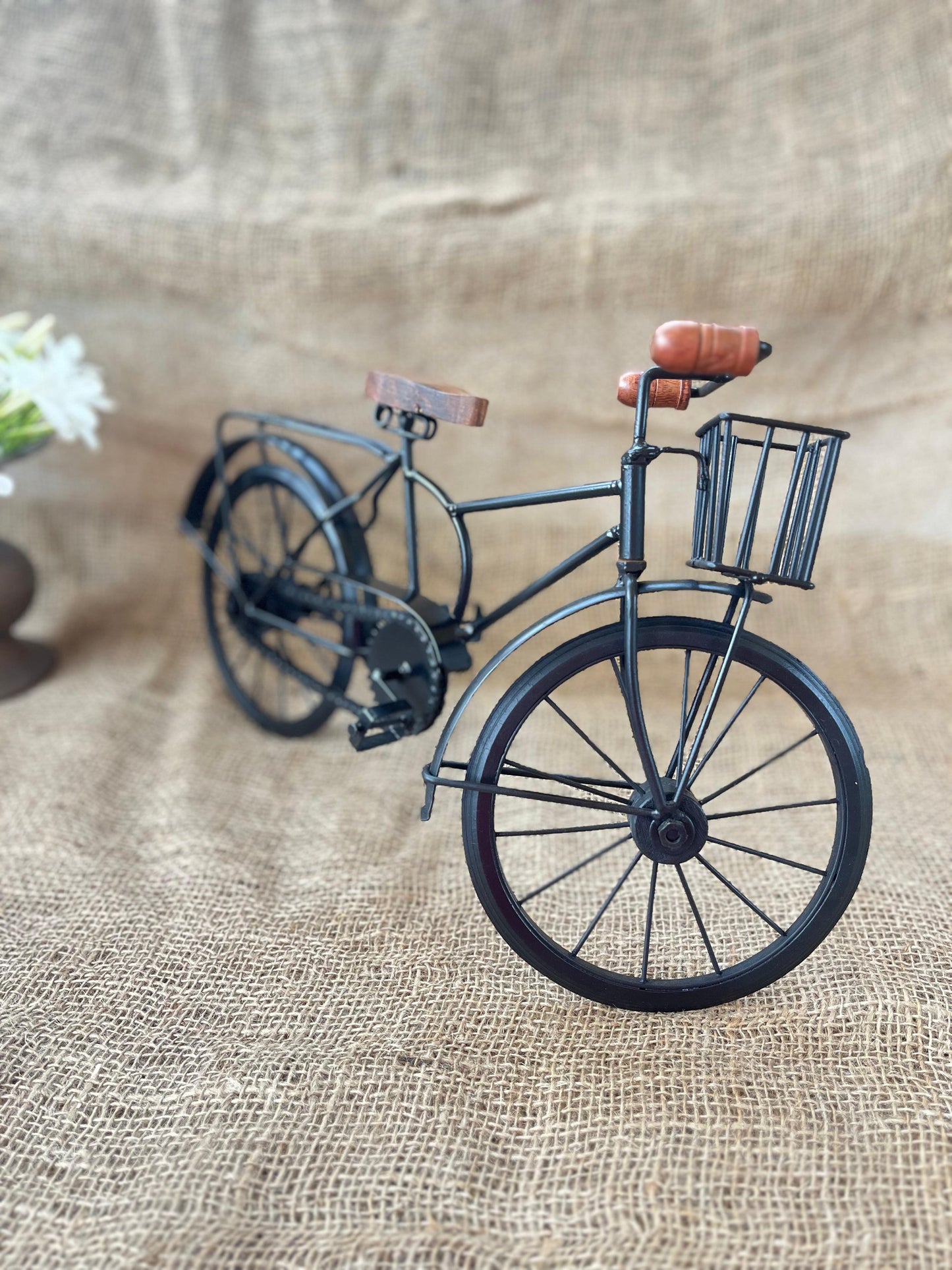 Iron Bicycle ￼