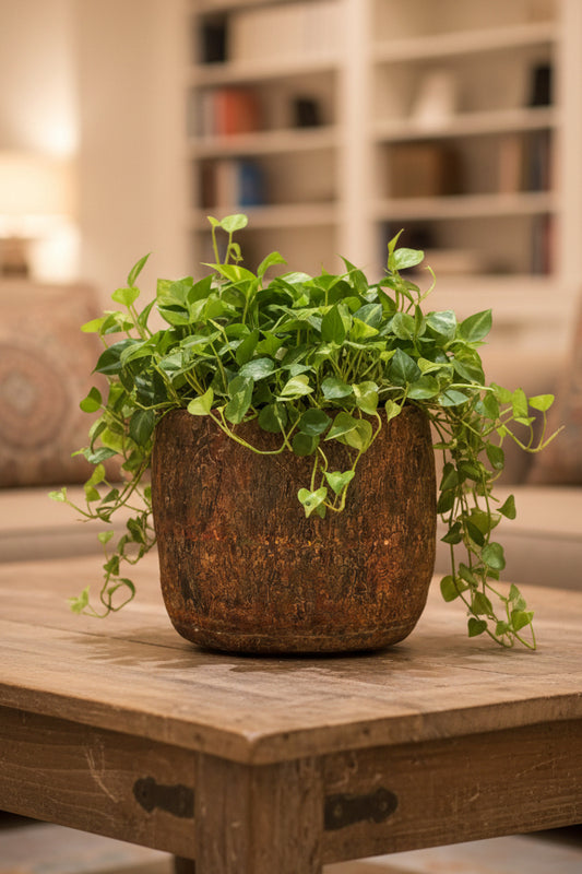 Old Rustic Flower Pot