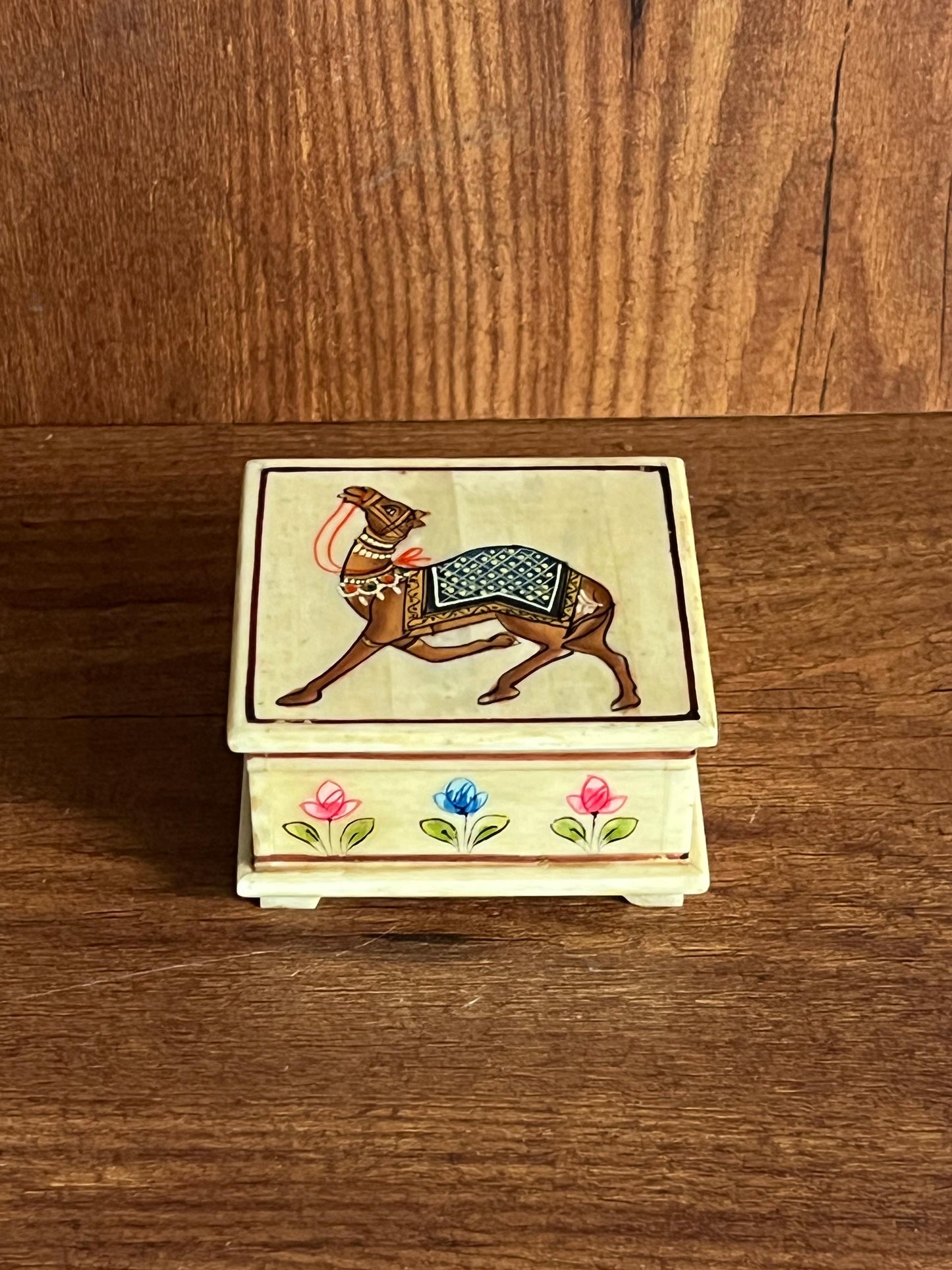 Hand Painted Camel Bone Box ￼