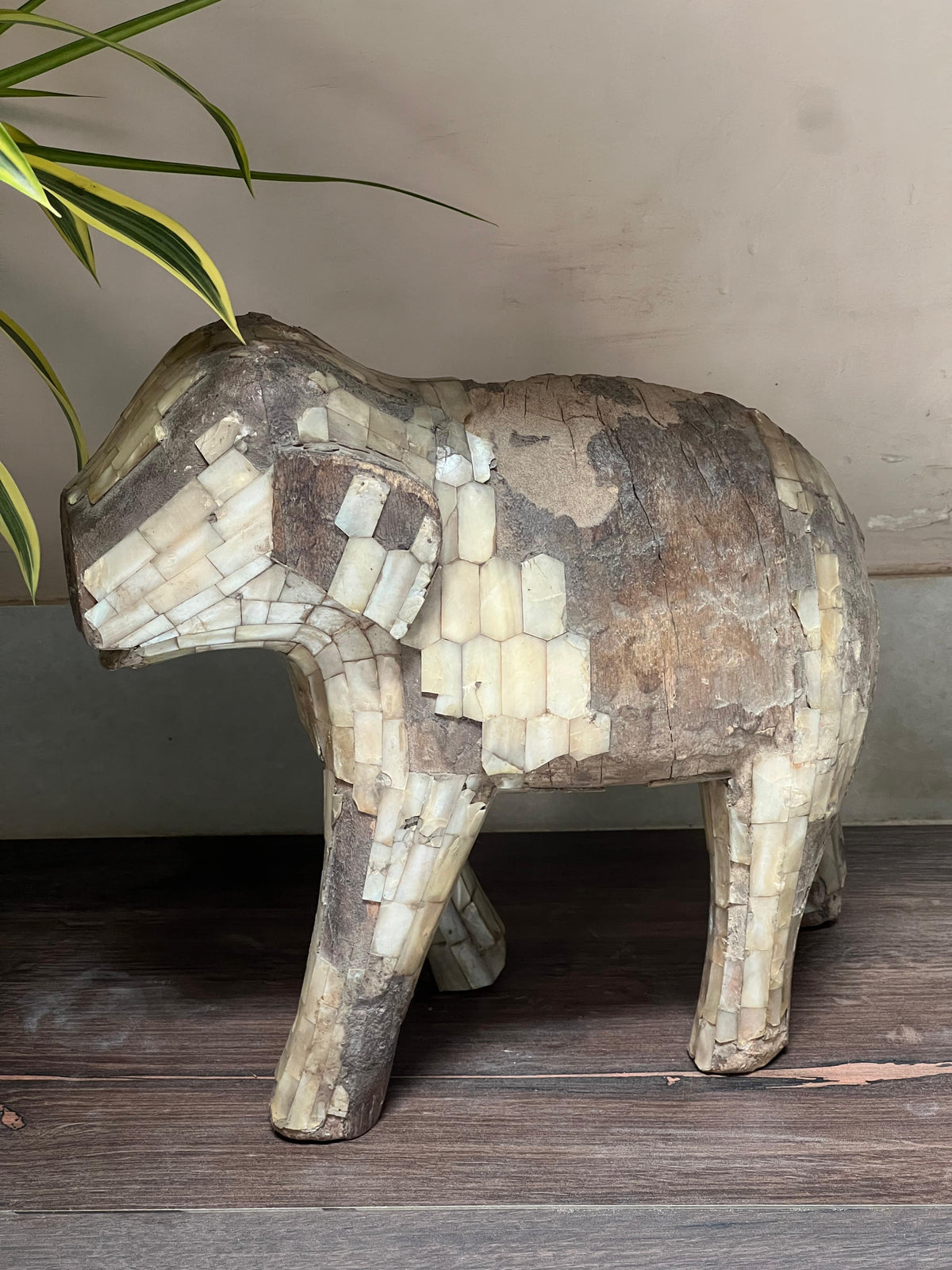 Old Elephant Mother of Pearl