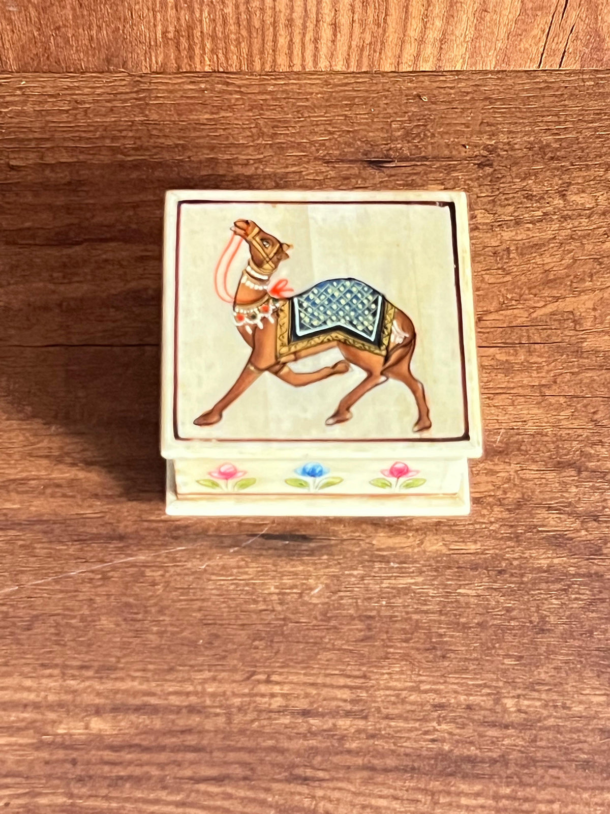 Hand Painted Camel Bone Box ￼