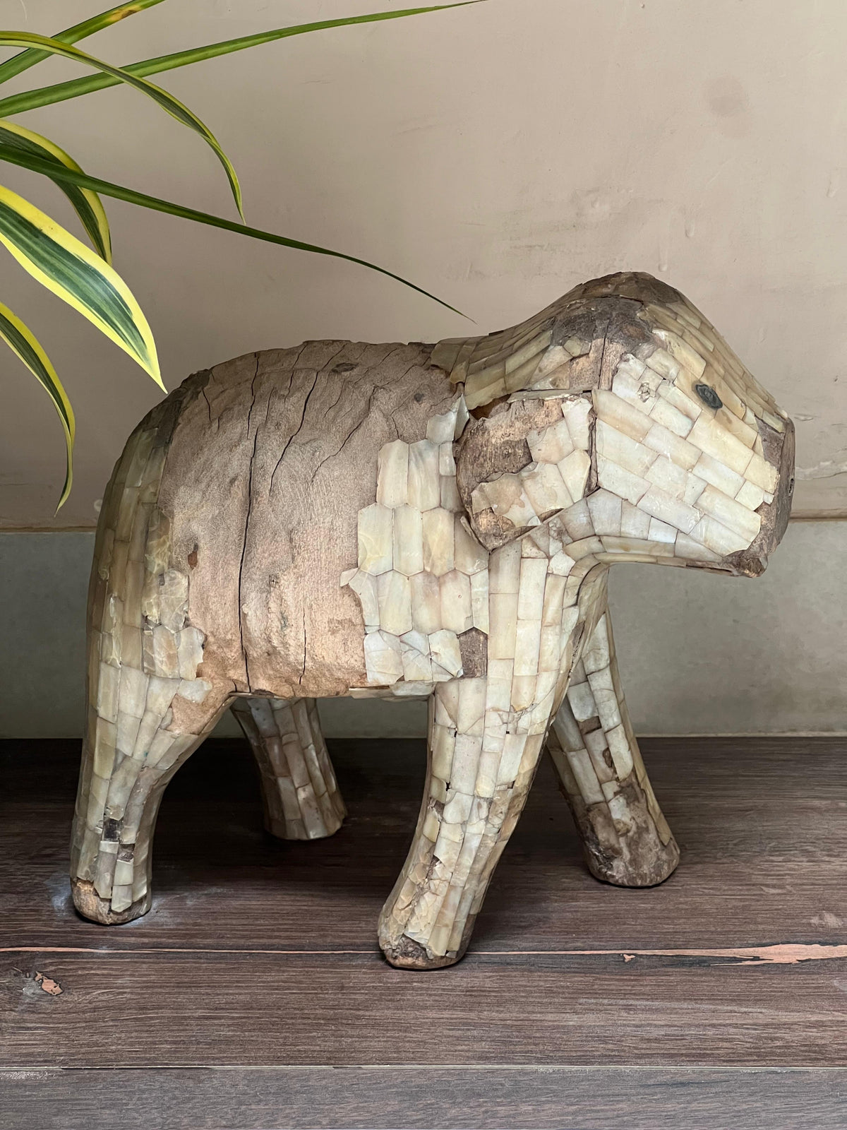 Old Elephant Mother of Pearl