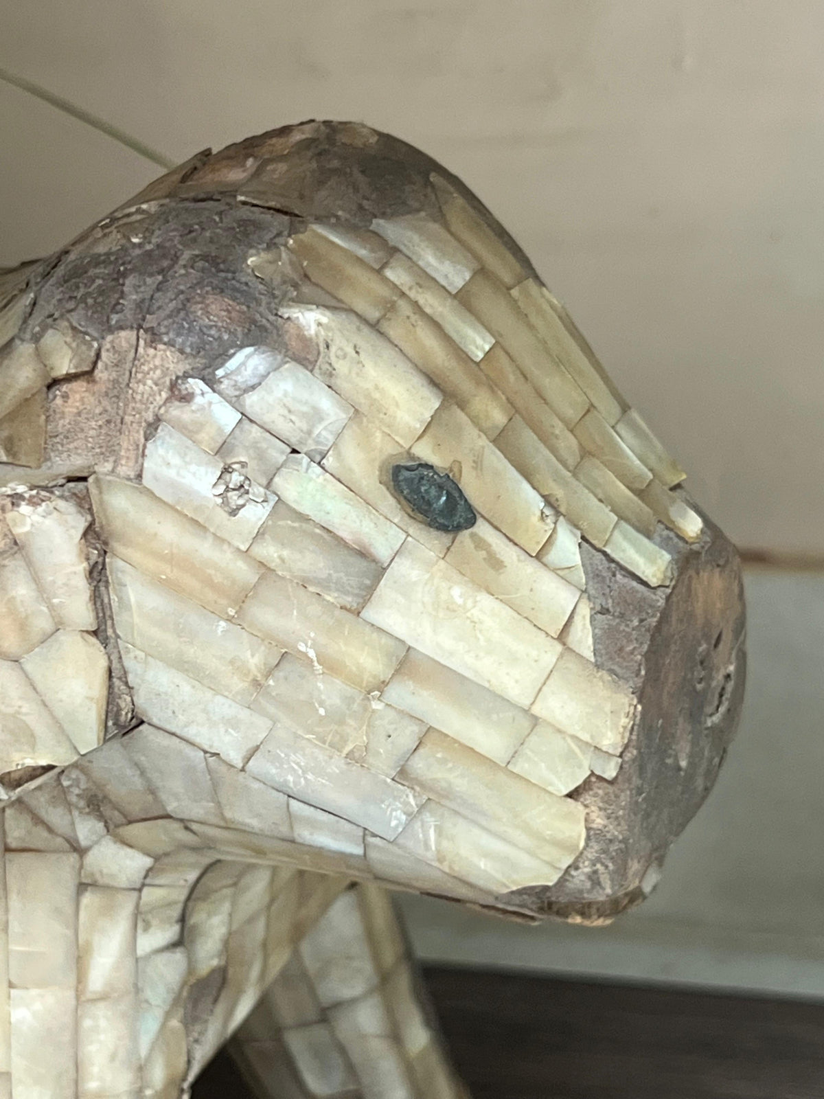 Old Elephant Mother of Pearl