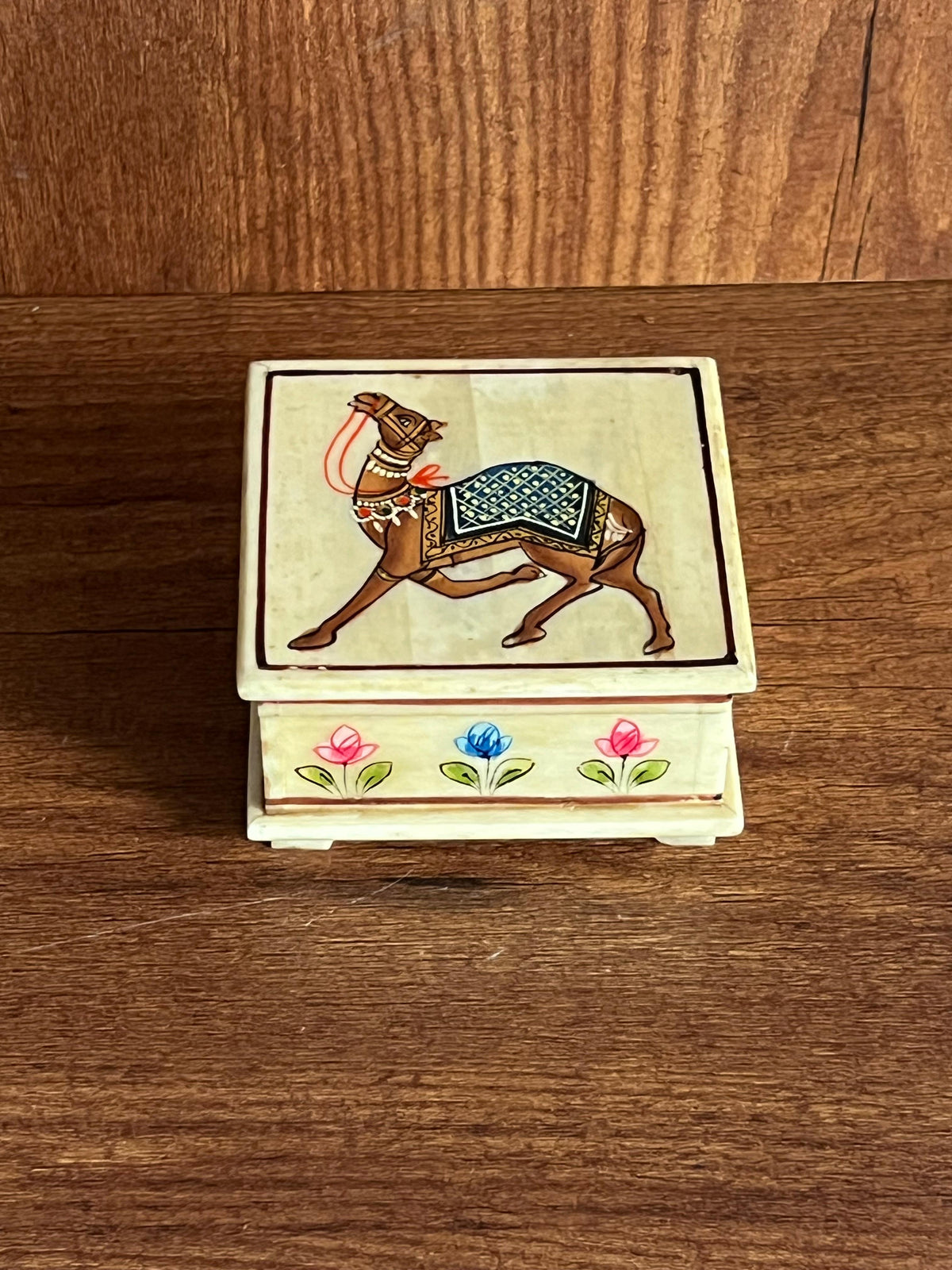 Hand Painted Camel Bone Box ￼
