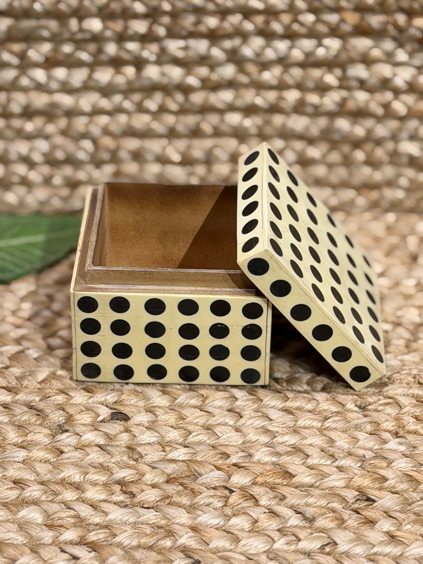 Polkadot Bone SquareBox￼