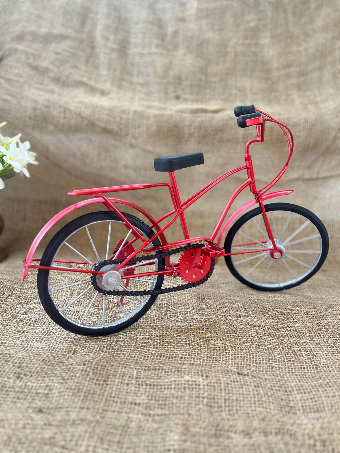 Red Toy Bicycle ￼