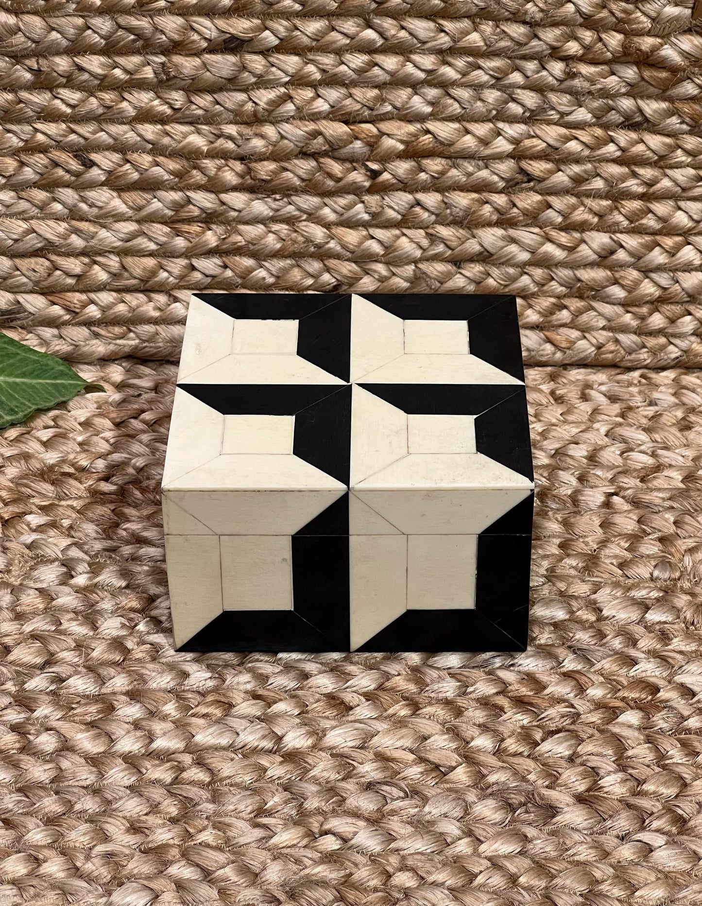 Square Bone Box ￼