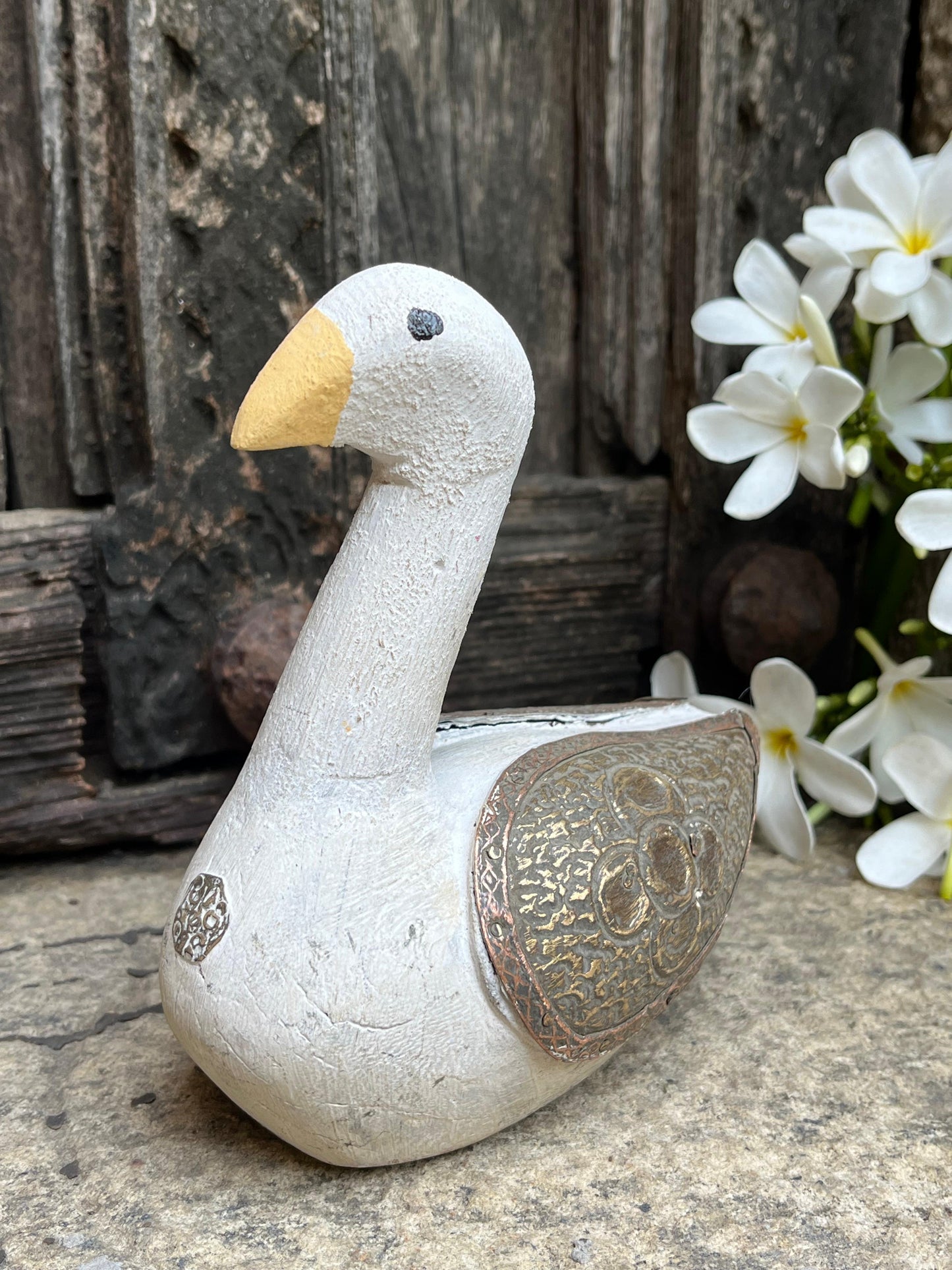 Wooden Duck ￼