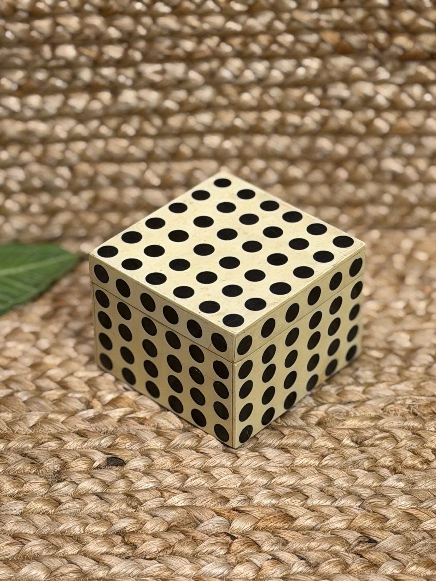 Polkadot Bone SquareBox￼