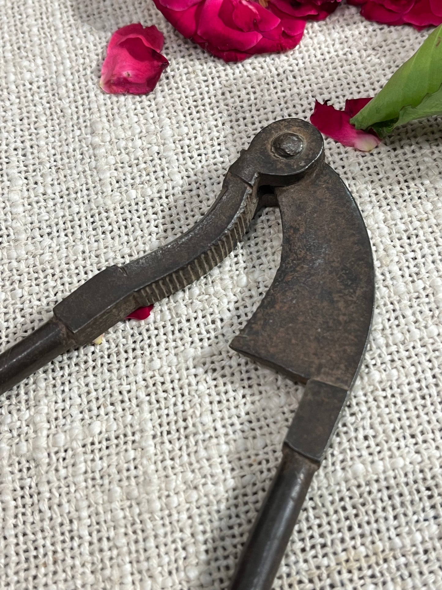 iron Supari Nut Cutter