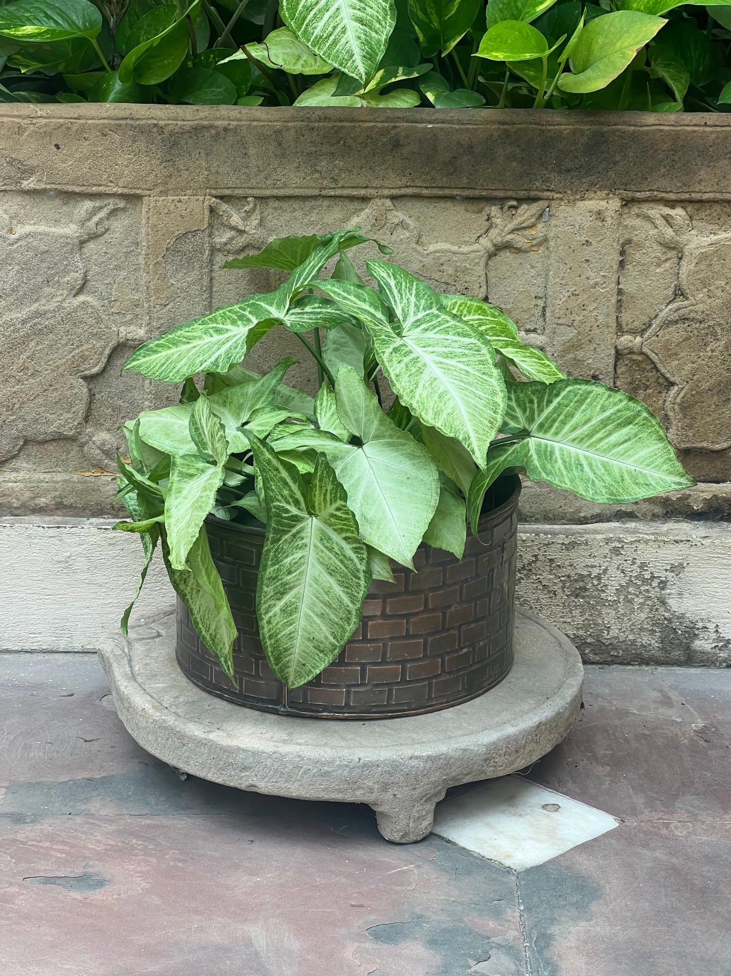 Iron Flower Planter ￼