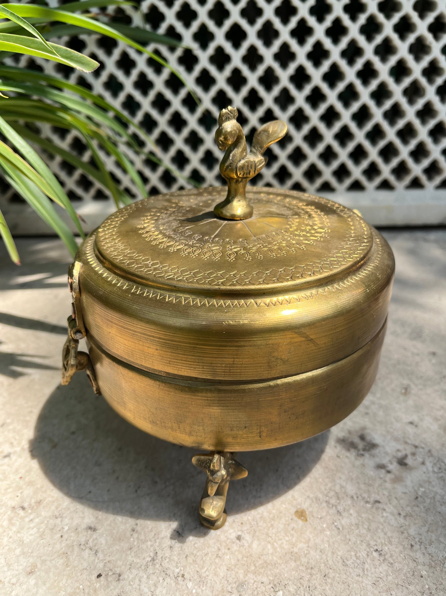 Brass Box Peacock Leg