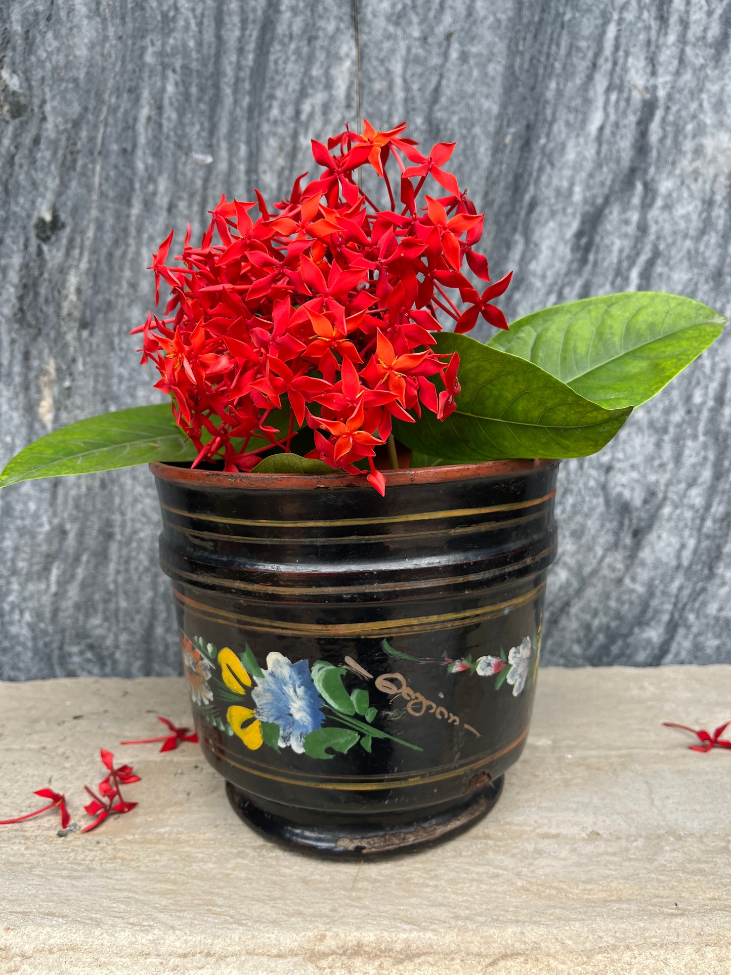 Vintage Lacquer Flower Pot
