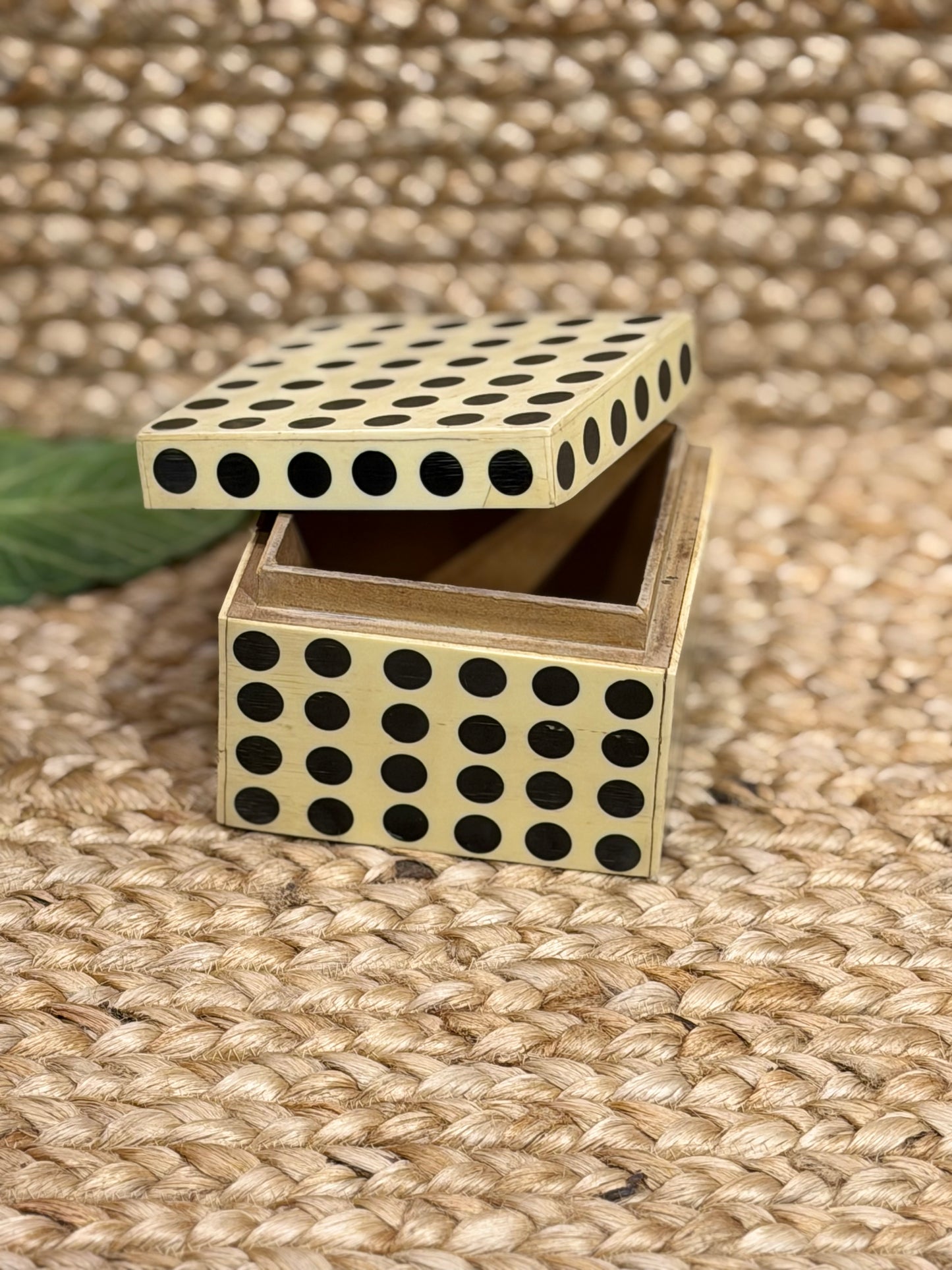 Polkadot Bone SquareBox￼