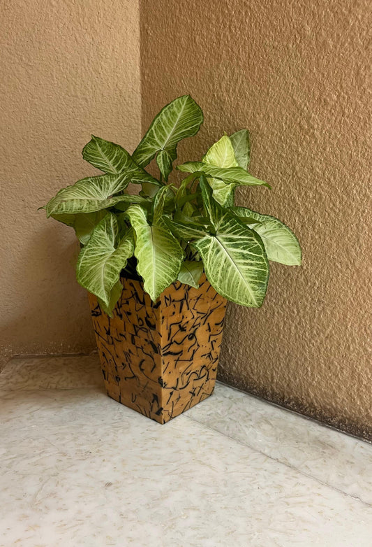 Bone Flower Planter ￼