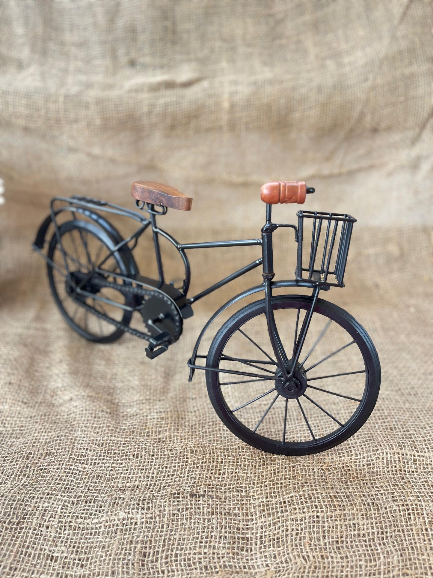 Iron Bicycle ￼