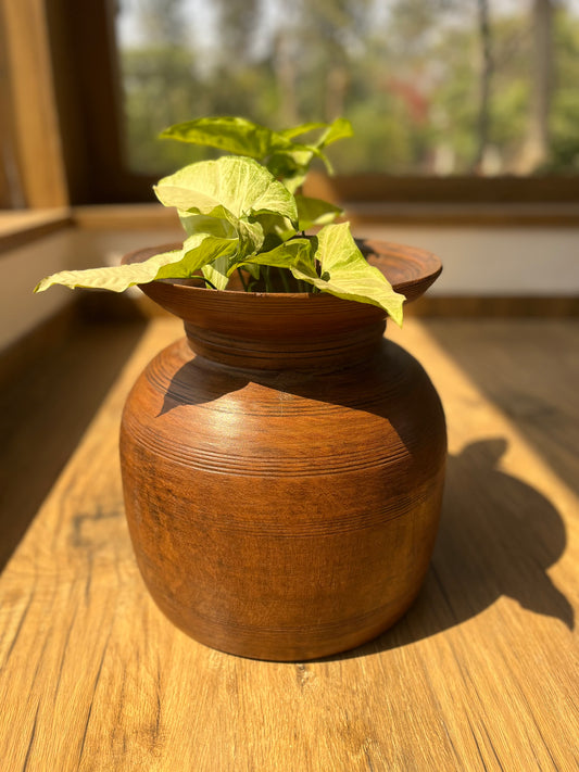 Wooden Old Flower Pot