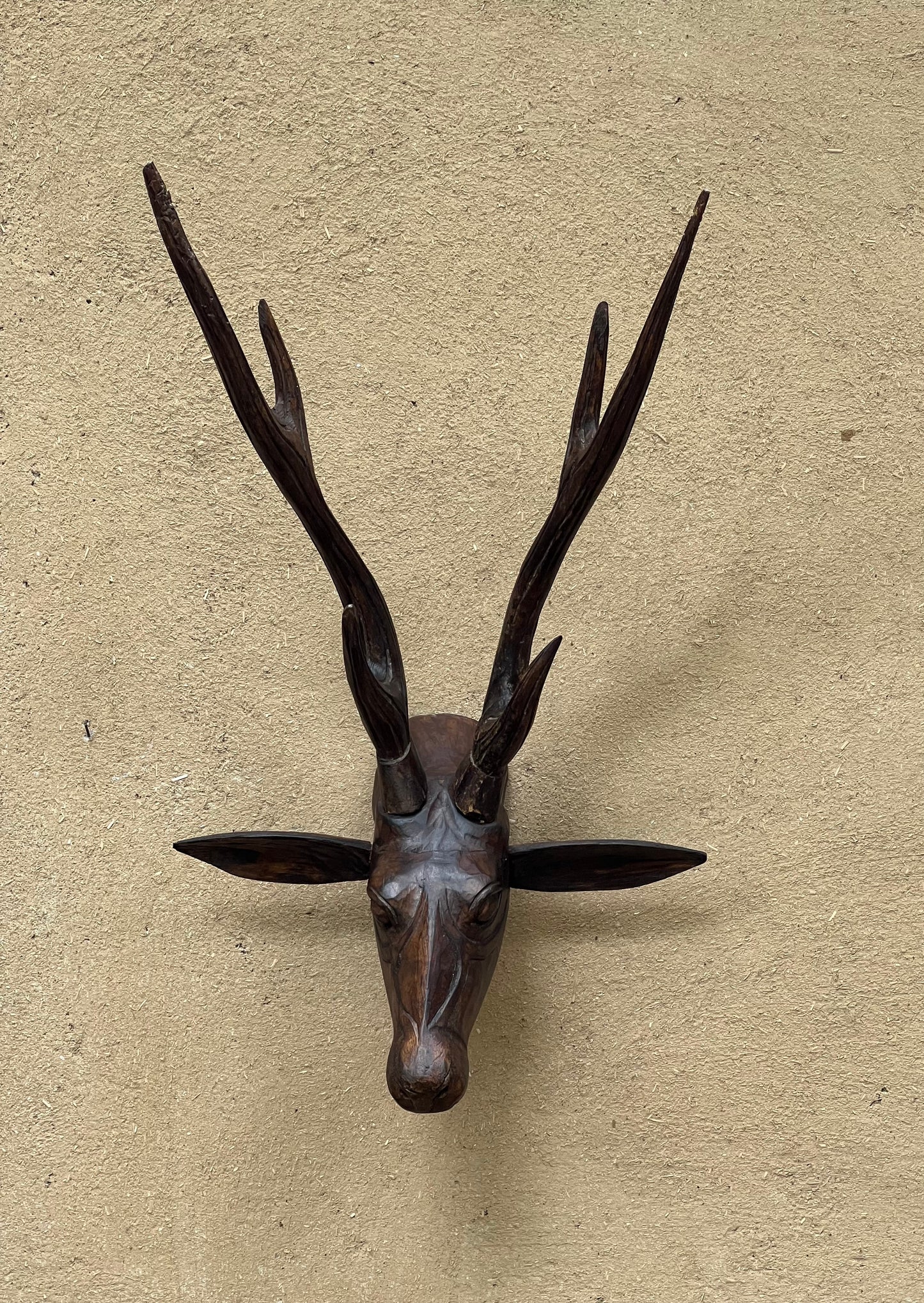 Wooden Deer Head