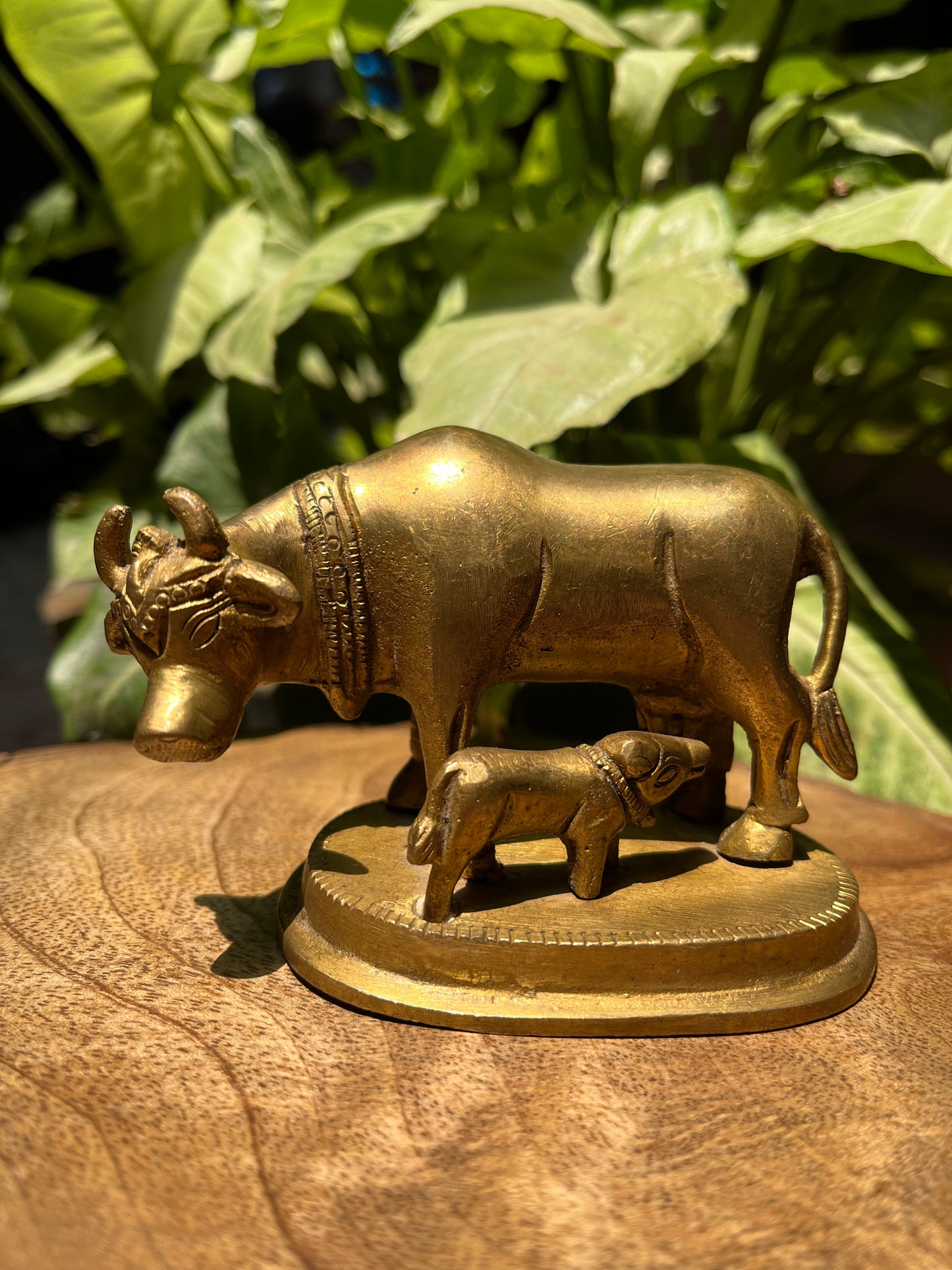 Brass Sitting Cow With Calf