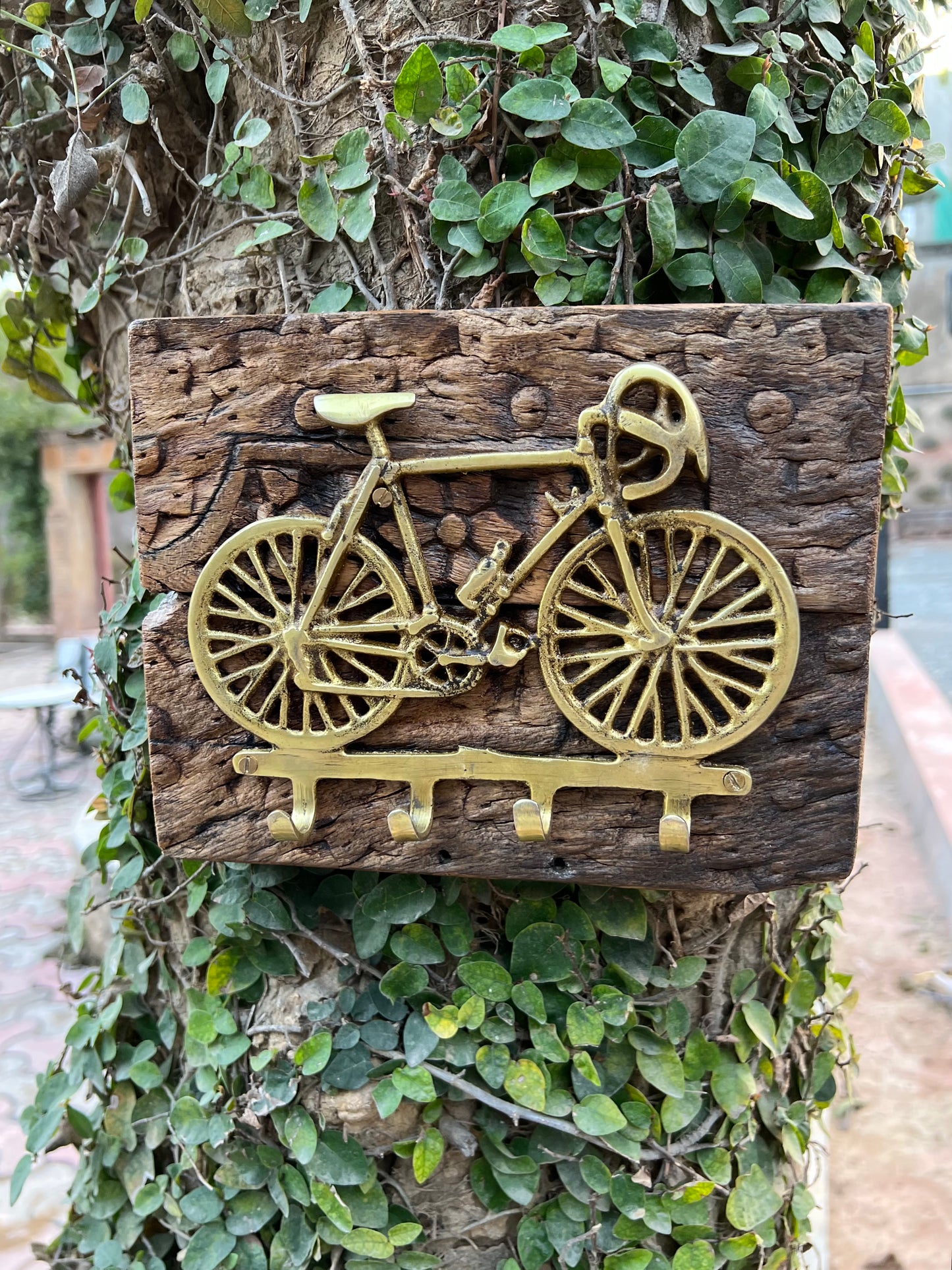 Carved Panel With Brass Cycle Hook