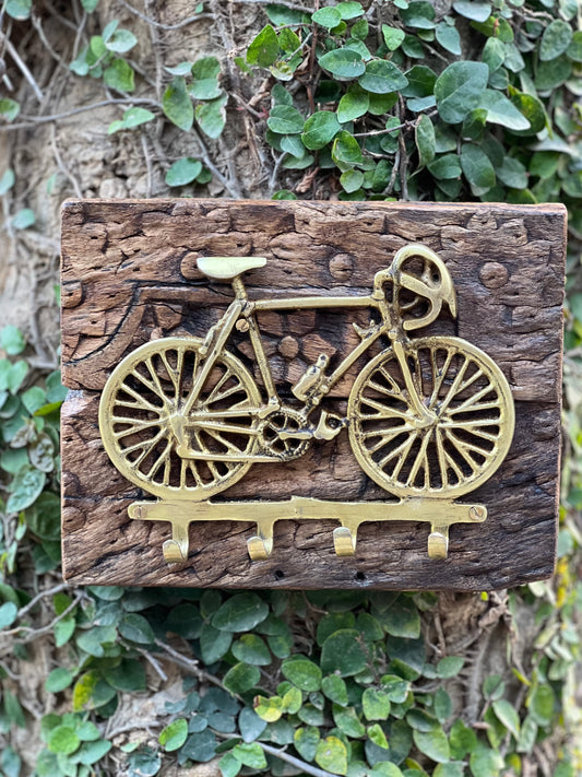 Carved Panel With Brass Cycle Hook